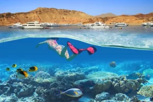 White11 Ras Mohammed Sharm El Sheikh and White Island Sailing Trip