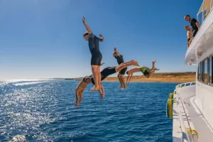 White2 Ras Mohammed Sharm El Sheikh and White Island Sailing Trip