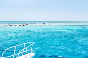 White3 Ras Mohammed Sharm El Sheikh and White Island Sailing Trip