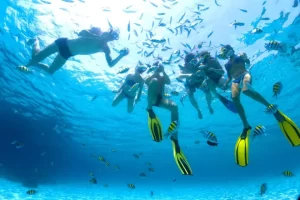 White6 Ras Mohammed Sharm El Sheikh and White Island Sailing Trip