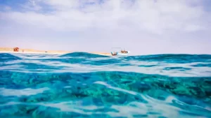 White7 Ras Mohammed Sharm El Sheikh and White Island Sailing Trip