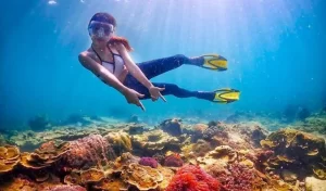 White8 Ras Mohammed Sharm El Sheikh and White Island Sailing Trip