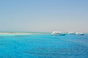 white13 Ras Mohammed Sharm El Sheikh and White Island Sailing Trip