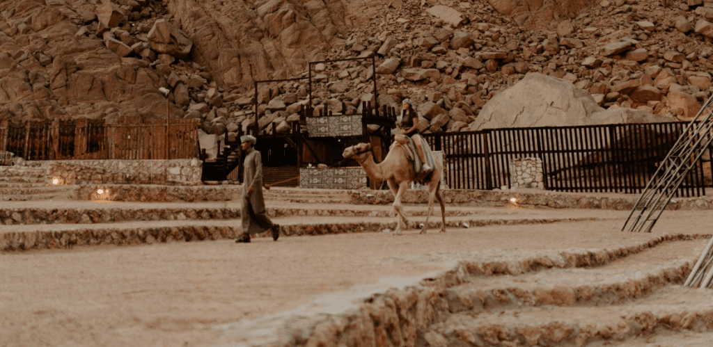 Safari in sharm el sheikh